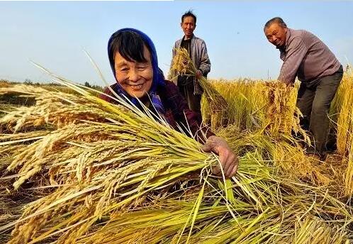 重磅！繼包產(chǎn)到戶之后，我國(guó)農(nóng)村又一次迎來重大改革